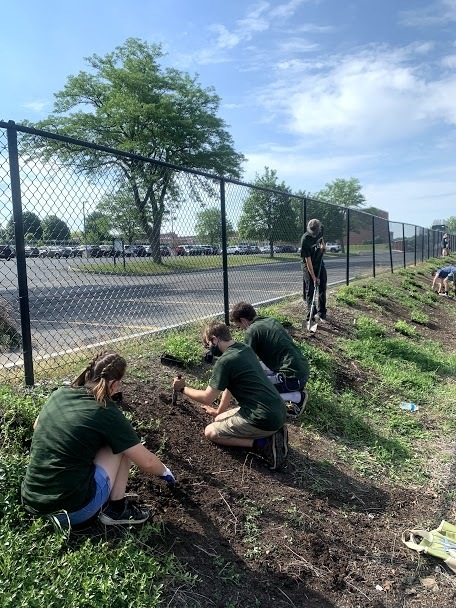 NHS Service Shines Through