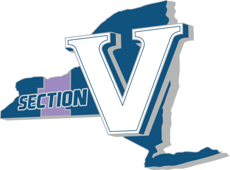 Section V Logo